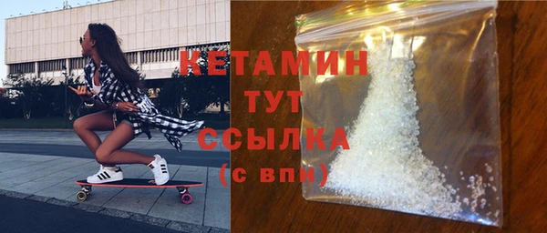 стаф Щигры