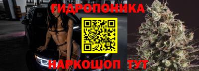 прущие грибы Апрелевка