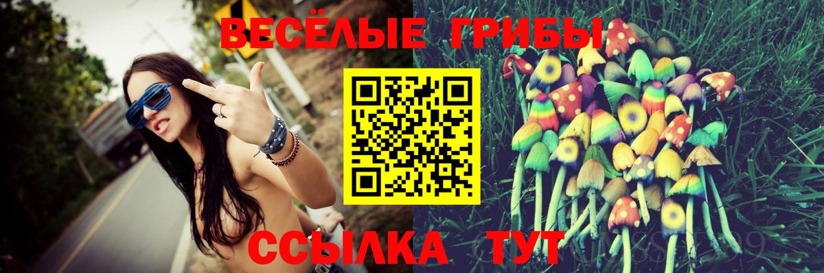 Галлюциногенные грибы Psilocybine cubensis  Вход с VPN  Южноуральск 