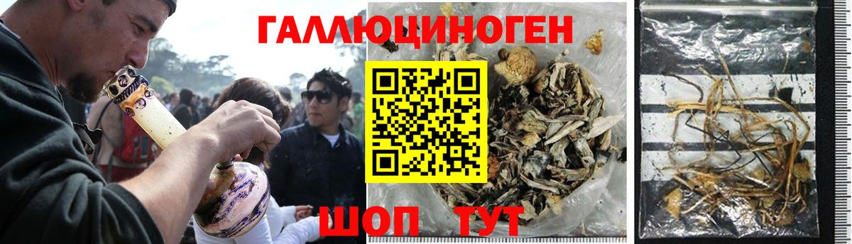 Псилоцибиновые грибы GOLDEN TEACHER Южноуральск